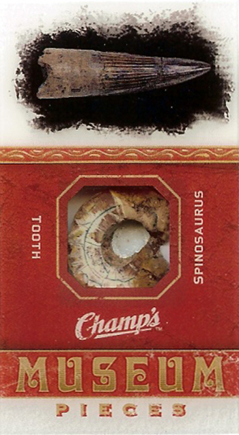 2011-Champs-Museum-Pieces-Spinosauras-Tooth