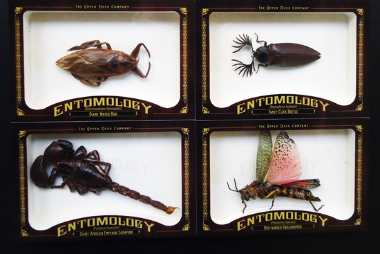 2011-Goodwin-Champions-Entomology-Redemptions-Bugs-1