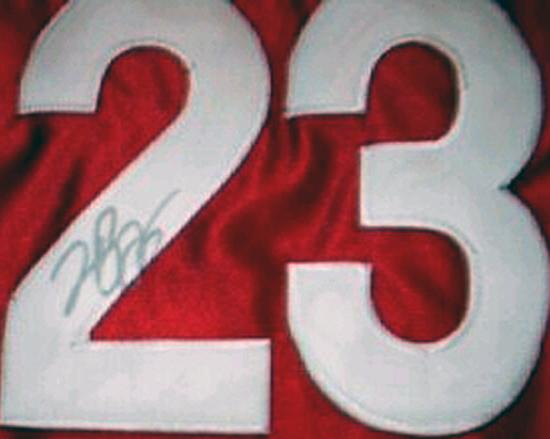 Blog - LeBron James Jersey Forgery - Fake Signed Jersey