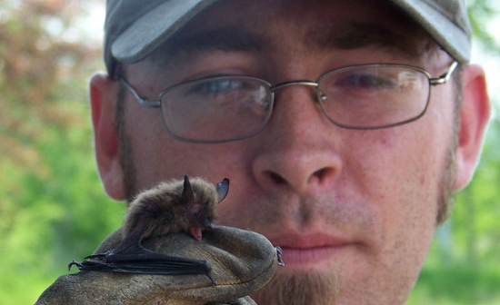 Save-Jays-Upper-Deck-Event-Bat-and-Jay