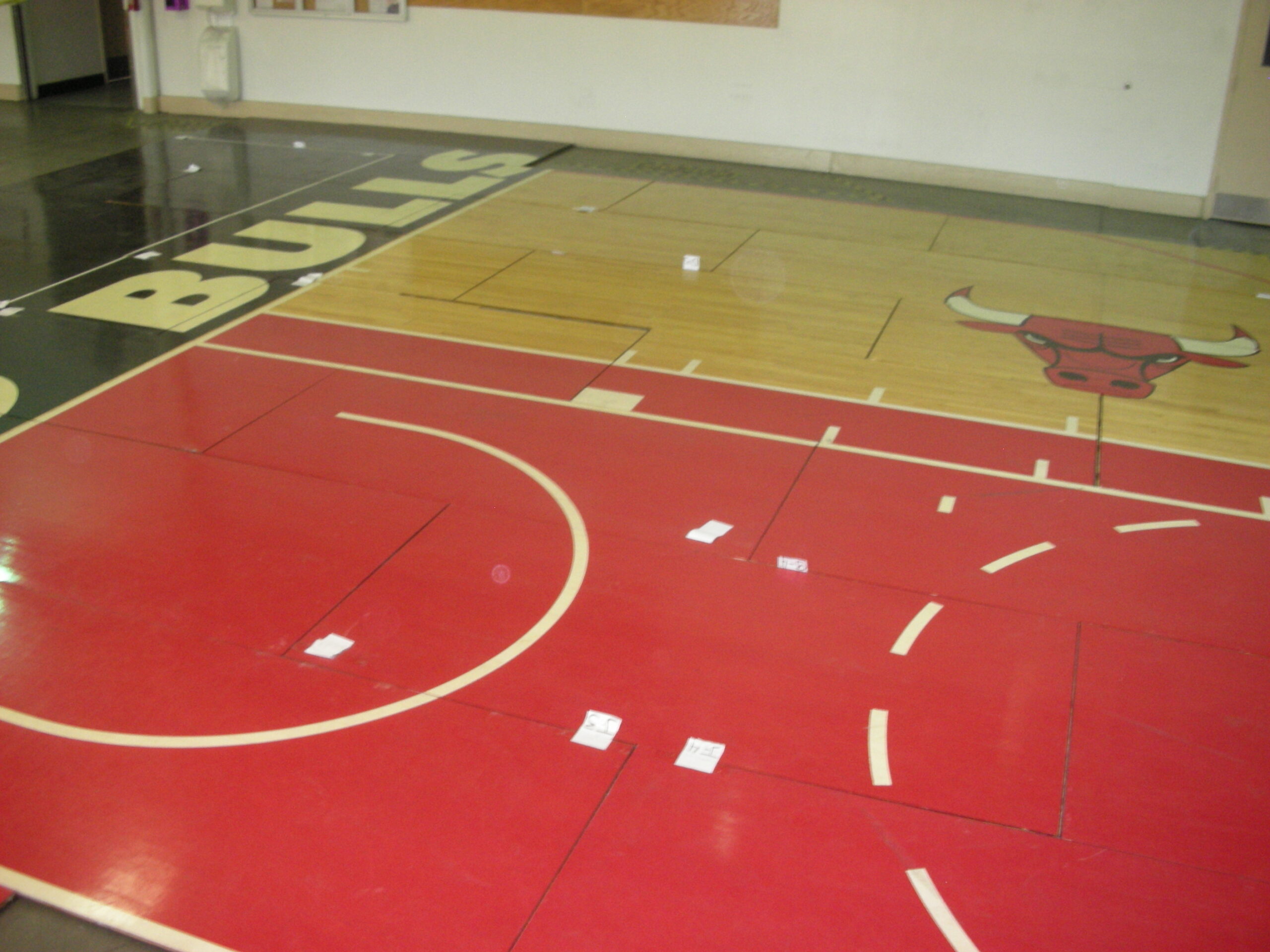 bullsfloor1 bullsfloor1