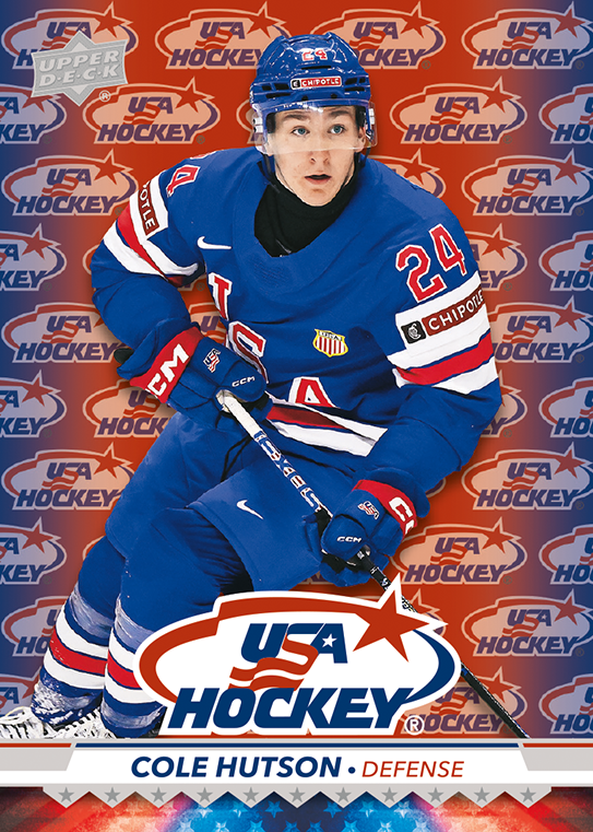 Form 1 (f) USA logo 4_F